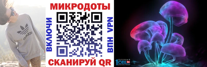 Купить где Стрежевой Псилоцибиновые грибы Psilocybine cubensis